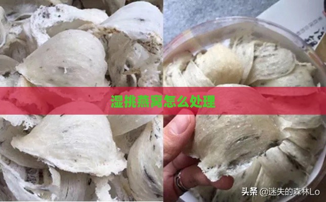 湿挑燕窝怎么处理