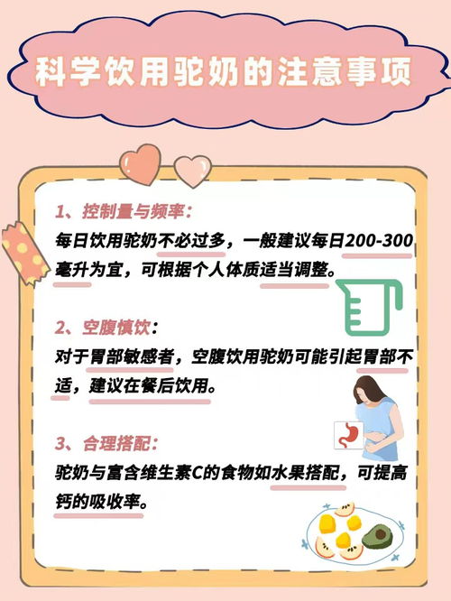 燕窝科学饮用指南：掌握更佳时间与方式，提升吸收效果