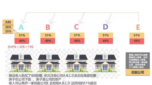 燕窝购买指南：深度解析燕窝性价比与选购策略