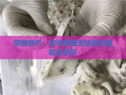 掌握技巧：如何精确无误地完整取出燕窝